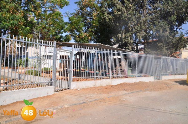 trees lud 1112 (13).JPG